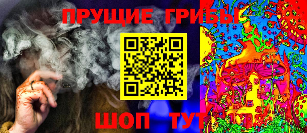 Вологда  Галлюциногенные грибы Cubensis  Вход с VPN 