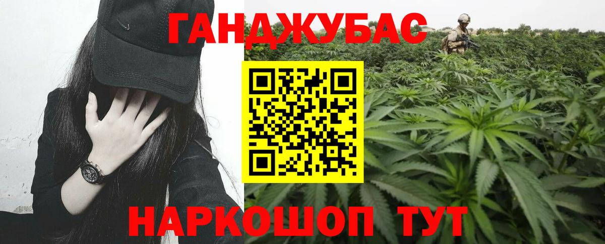 Бошки марихуана Amnesia  Вход с VPN  Вологда  МАРИХУАНА семена 